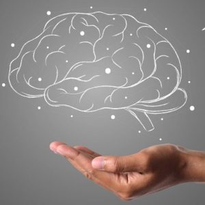 brain, hand, grey